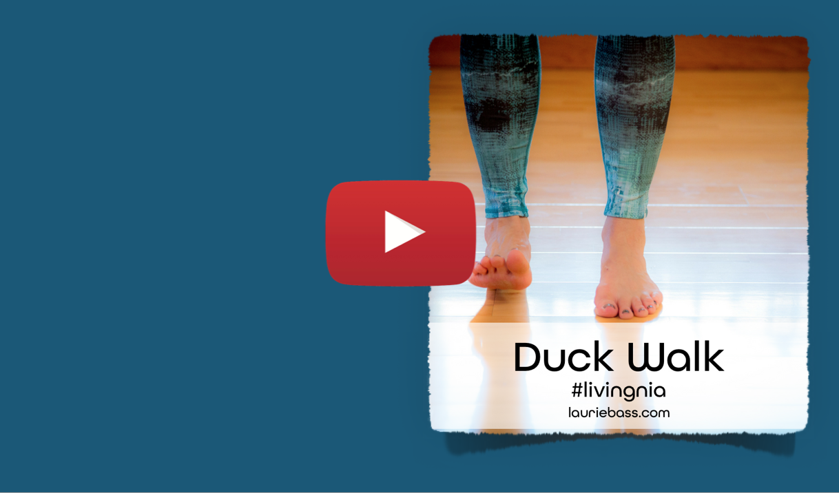 Duck Walk 2
