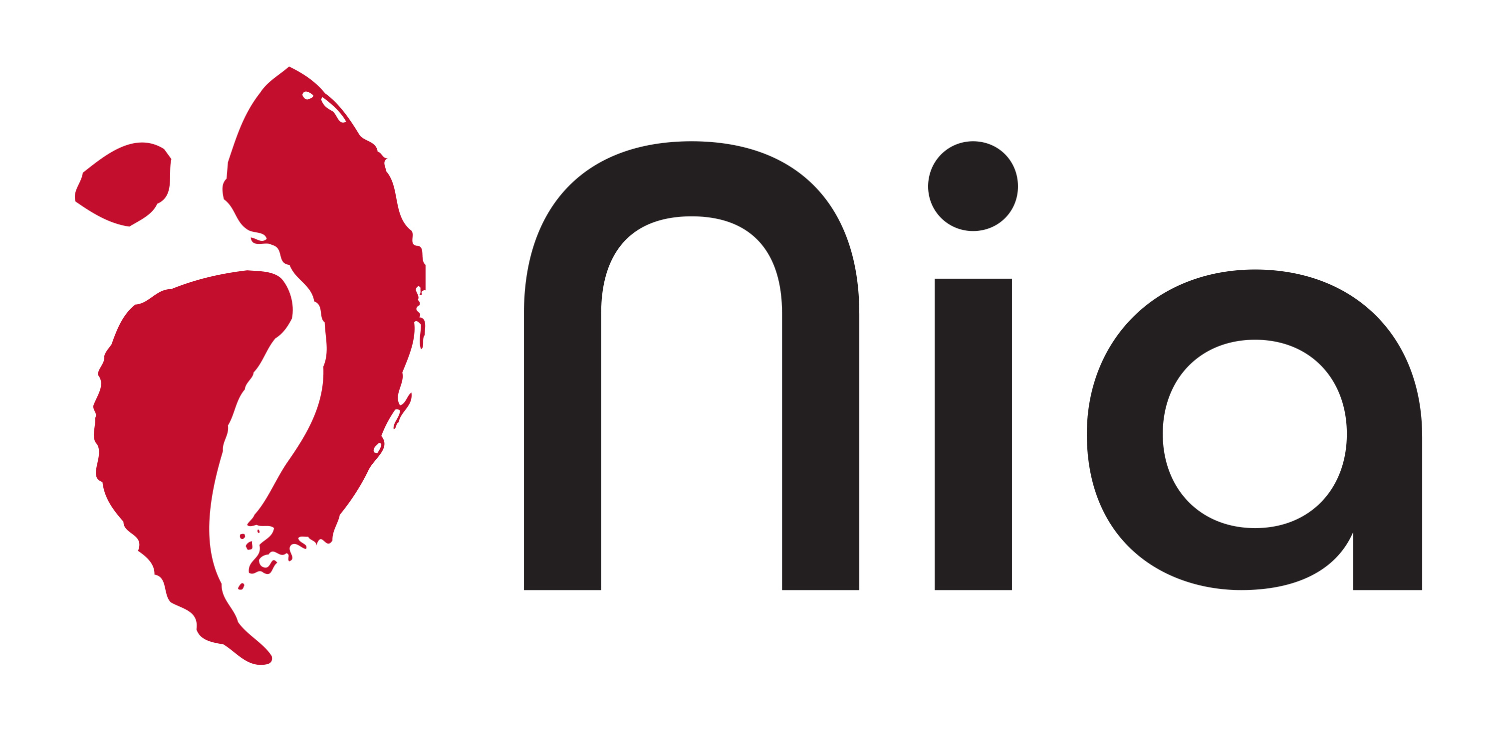 Nia Logo 3000px